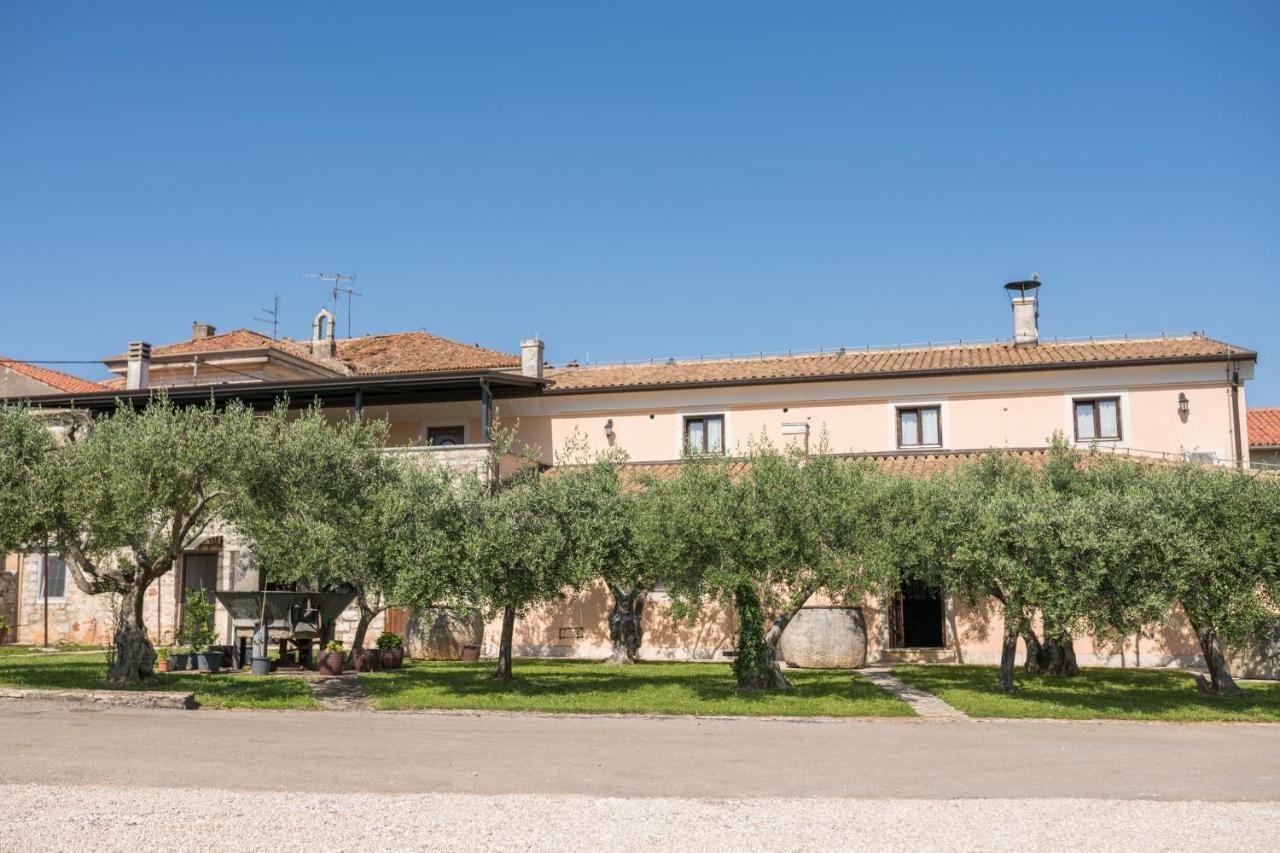 Bb Olive Bed & Breakfast Seget  Exterior photo